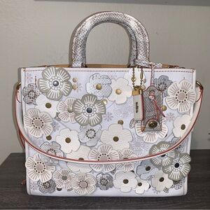 Coach Rogue 30/31